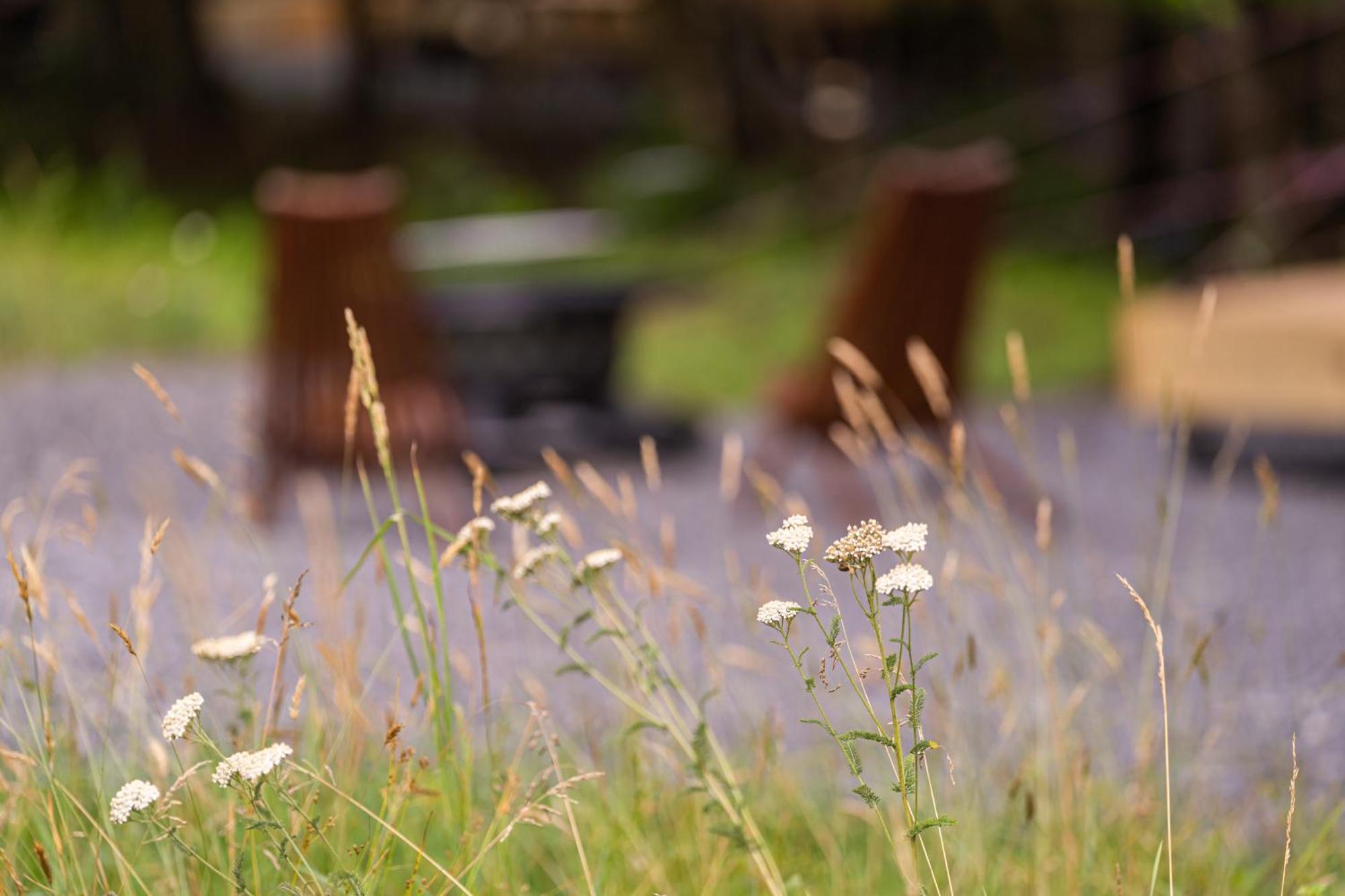 Firefly Ridge Luxury Retreat 호텔 Great Cacapon 외부 사진